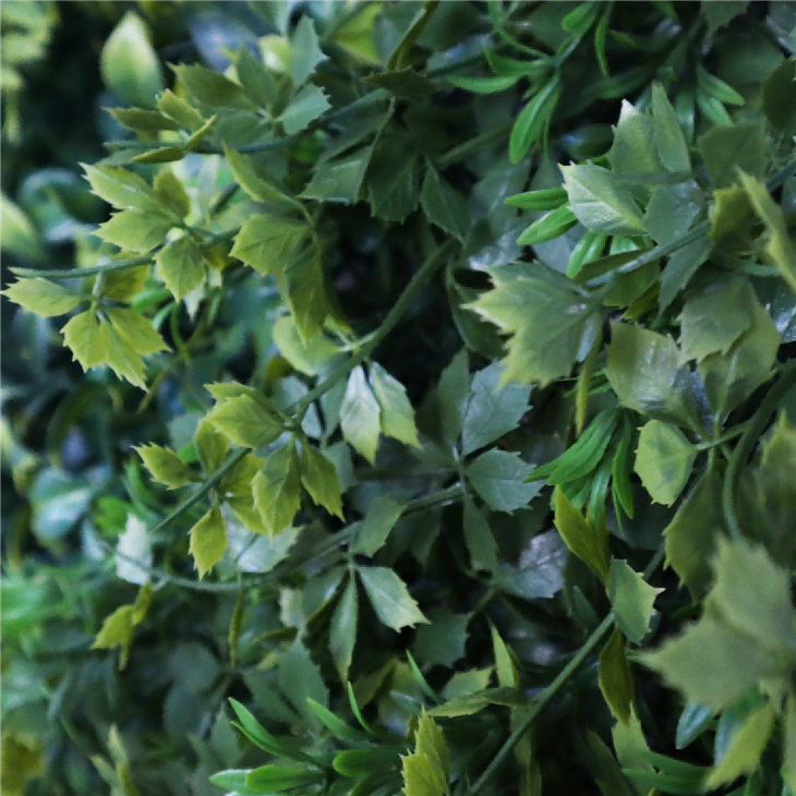 Green Wall Plants