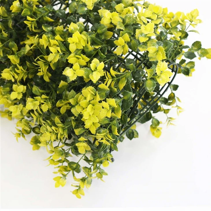 The Living Wall