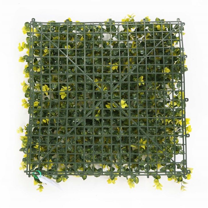 The Living Wall