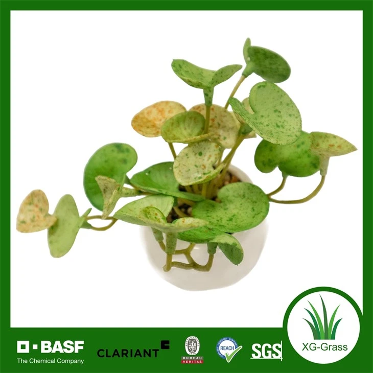 Xingu Beautifully Crafted Fake Succulent Plant For Indoor Spaces suppliers