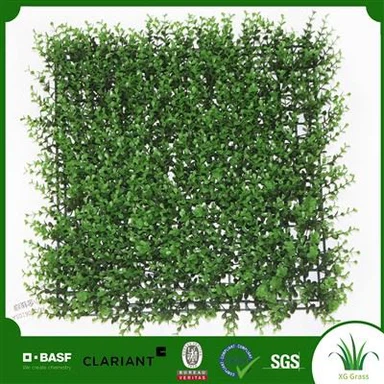 घास की दीवार वाली कक्षा