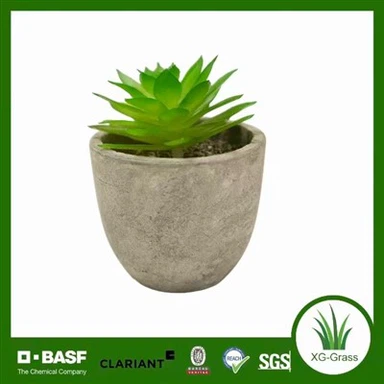 सदाबहार कंकड़ रसीले