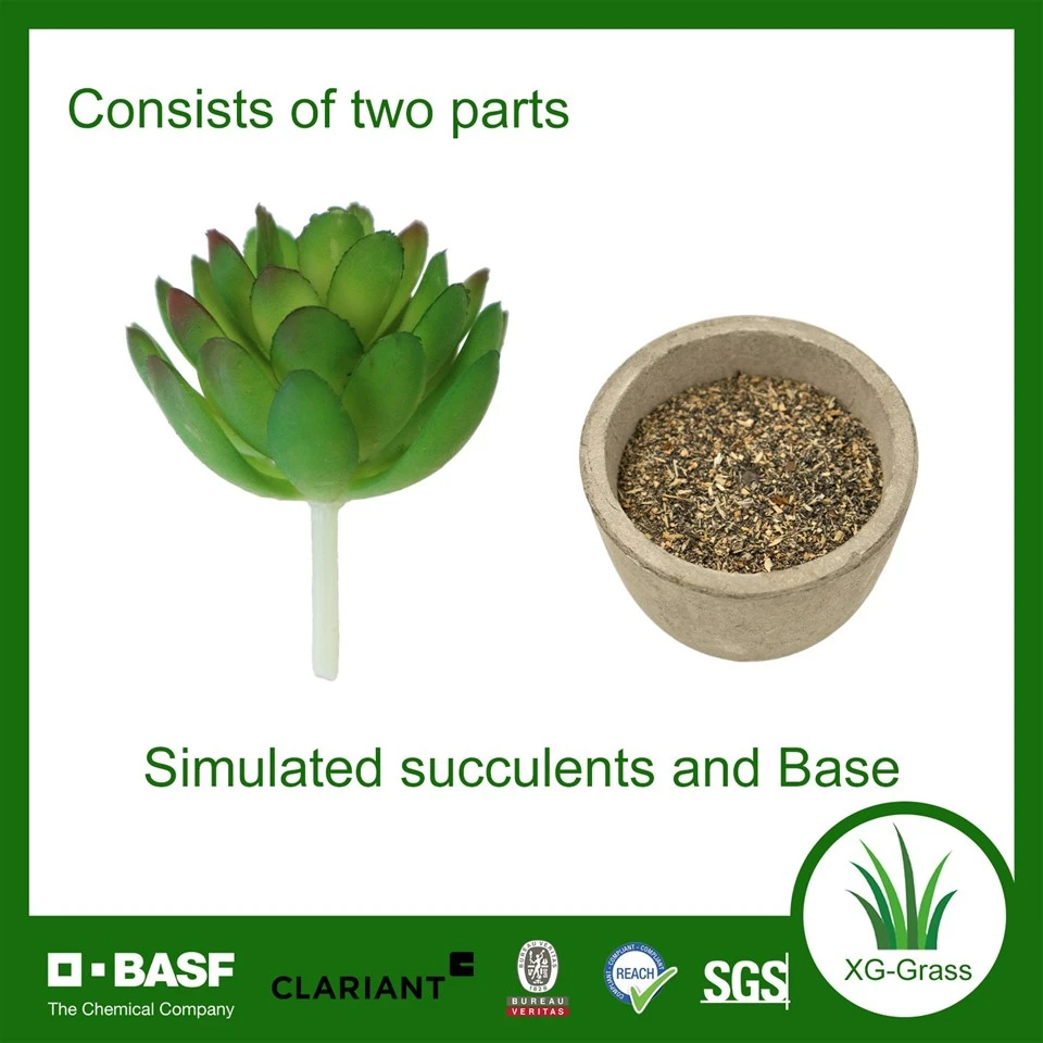 XG Premium Artificial Succulent Planter best