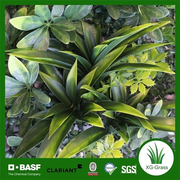 Xingu Artificial Green Wall 40cm*60cm Customized Plant For Decoration high quality